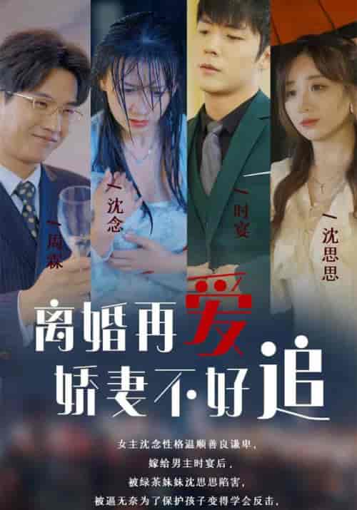 离婚再爱娇妻不好追 离婚再爱娇妻不好追