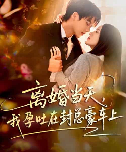 离婚当天，我孕吐在封总豪车上（77集全）吴宇航＆海星-海之城短剧项目