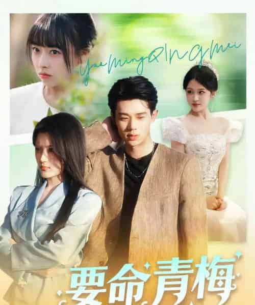 要命青梅（60集全）张凤鑫＆刘艺乔-海之城短剧项目