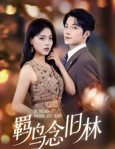 羁鸟念旧林（60集全）张宇轩＆江炘-海之城短剧项目