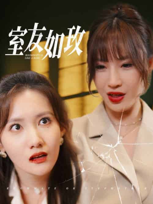 室友如玫（36集全） - 海之城短剧