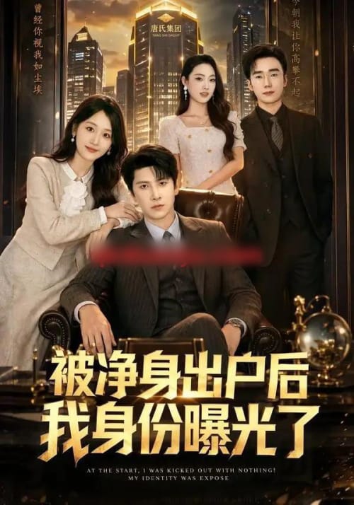 被净身出户后我身份曝光了（83集全）肖羽铠＆余紫瑄-海之城短剧项目
