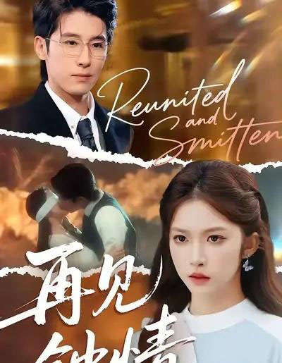 再见钟情（100集全）林枫松＆吴毅非-海之城短剧项目