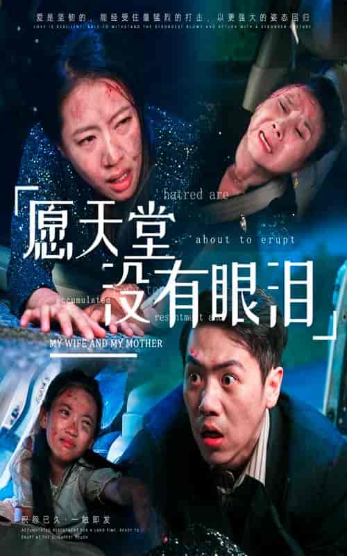 愿天堂没有眼泪（70集全） - 海之城短剧