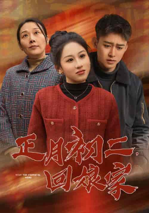 正月初二回娘家（41集全） - 海之城短剧