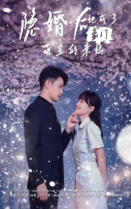 隐婚后，她成了豪门萌宝的亲妈（69集全） - 海之城短剧