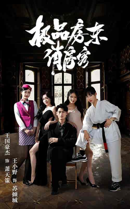 极品房东俏房客（78集） - 海之城短剧