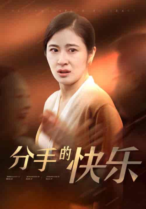 分手的快乐（66集全）钟北海＆何金玉 - 海之城短剧