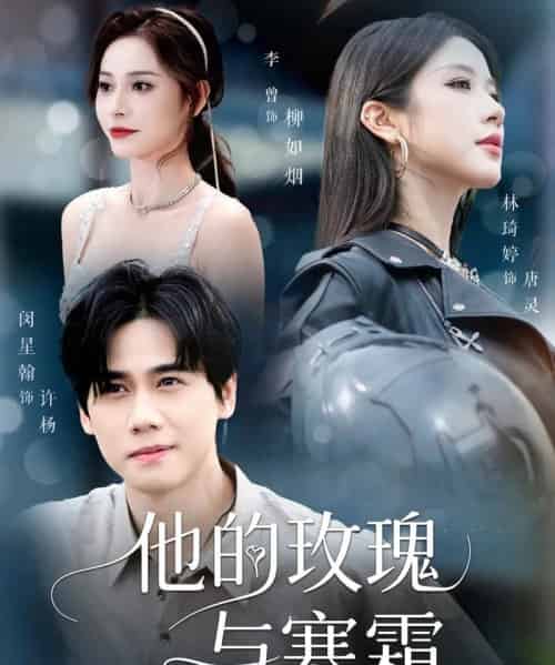 他的玫瑰与寒霜（60集）闵星翰＆林琦婷＆李曾 - 海之城短剧