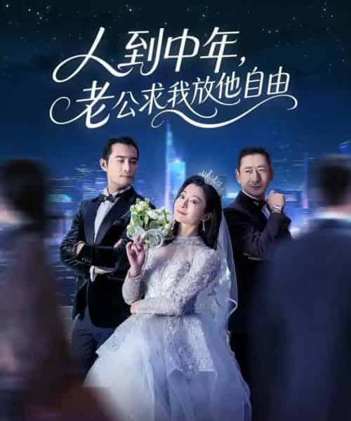 人到中年，老公求我放他自由（60集全）宁浩然＆李部 - 海之城短剧