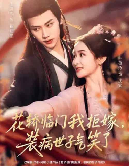 花轿临门我拒嫁，装病世子气笑了（107集全）张洪鸣＆王蔼玲-海之城短剧项目