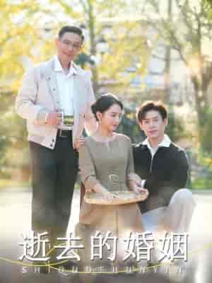 逝去的婚姻（60集全）孔莹莹 - 海之城短剧