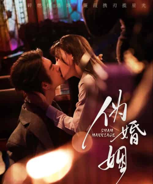 伪婚姻（75集全）王上进＆马铭婕-海之城短剧项目