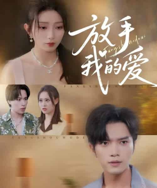 放手我的爱（47集全）史庭赫＆苗淼-海之城短剧项目