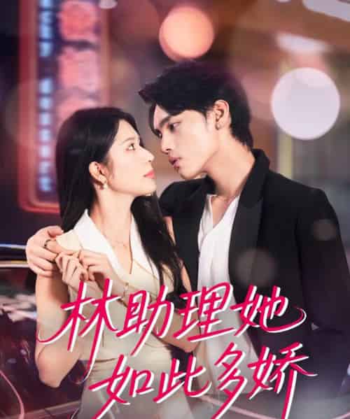 林助理她如此多娇   共79集-海之城短剧项目