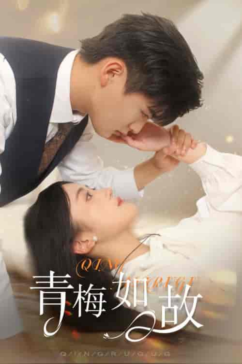 青梅如故＆恰似旧人来（61集）-海之城短剧项目