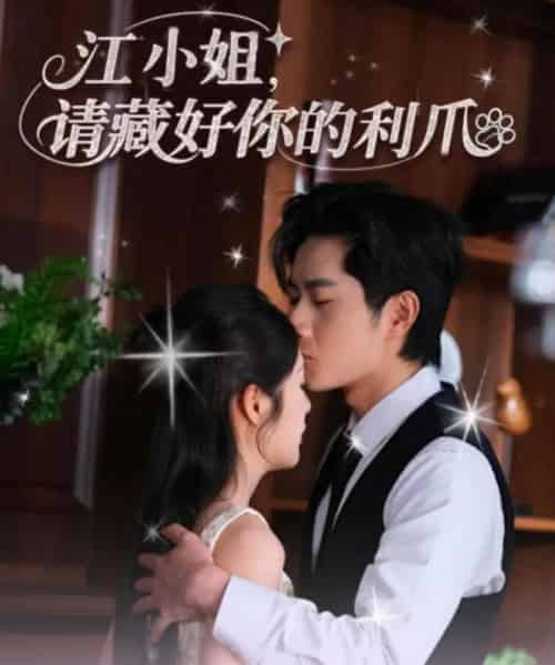 江小姐请藏好你的利爪（60集）杨然＆陈酉昔-海之城短剧项目