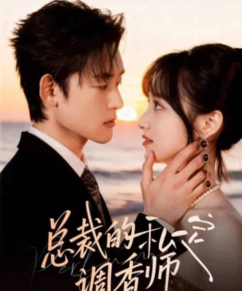 总裁的私定调香师（80集全）张力壬＆徐子珊-海之城短剧项目