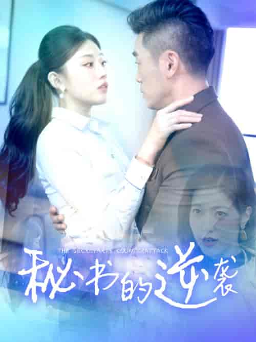 秘书的逆袭（50集全）擦边剧 - 海之城短剧