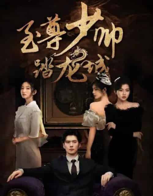 至尊少帅踏龙城（80集全）黎隐＆张晗-海之城短剧项目