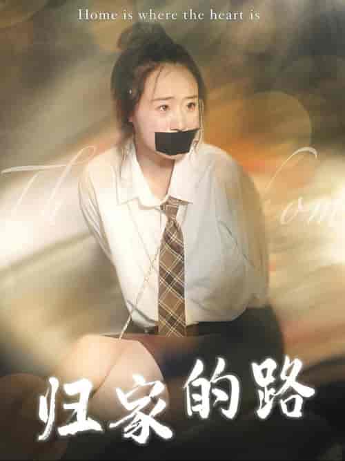 归家的路（80集全） - 海之城短剧