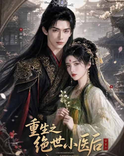 重生之绝世小医后（68集全）AI-海之城短剧项目