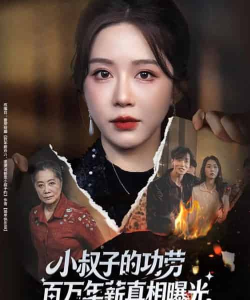 小叔子的功劳百万年薪真相曝光＆年薪被抢功，我转身独美炸圈（60集全）伍雅露＆刘泽宇-海之城短剧项目