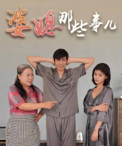 婆媳那些事儿    共30集-海之城短剧项目