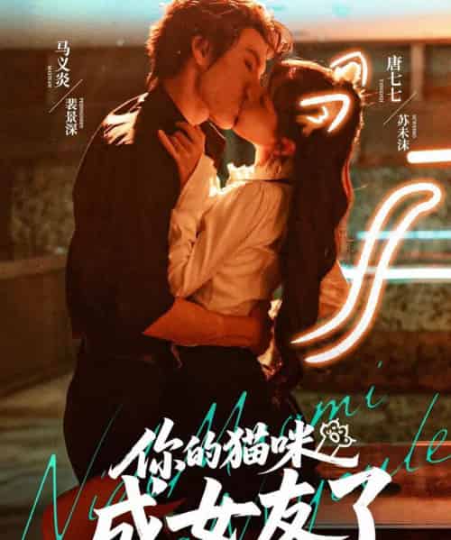 你的猫咪成女友了（70集全）唐七七＆马义炎-海之城短剧项目