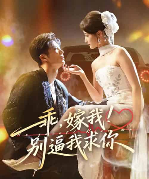 乖，嫁我！别逼我求你（74集全）王名扬＆董瑷宁-海之城短剧项目
