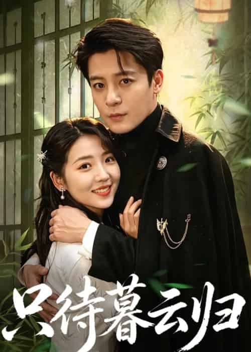 只待暮云归（70集全）李海蒂＆丁敬一-海之城短剧项目