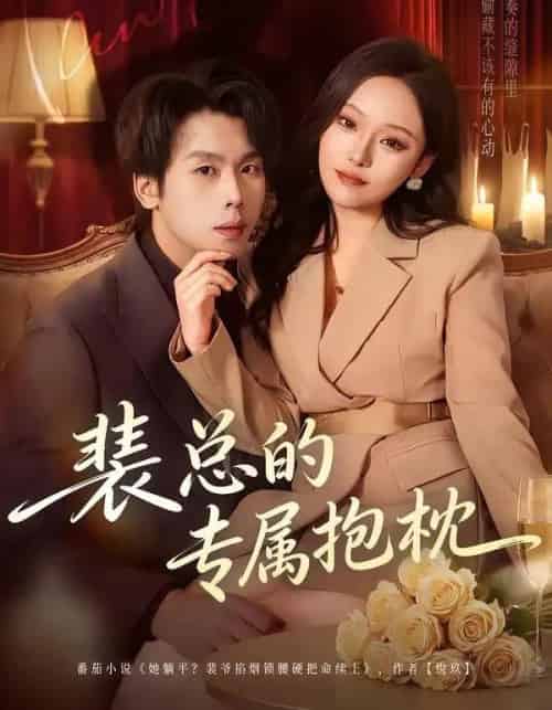 裴总的专属抱枕（78集全）艾江山＆橘子 - 海之城短剧