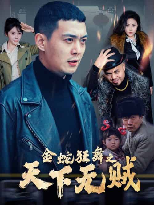 金蛇狂舞之天下无贼（52集全）钱谦 - 海之城短剧