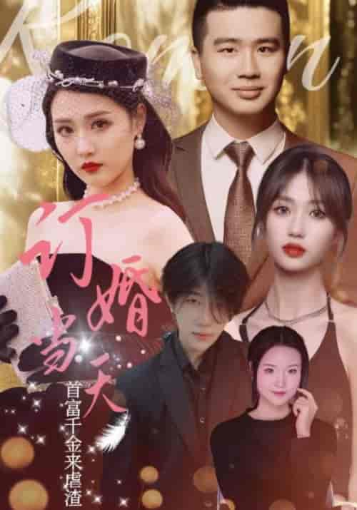 订婚当天富豪千金来虐渣（30集全）夏怀安＆李佳怡 - 海之城短剧
