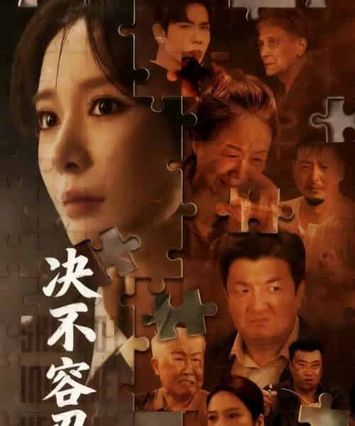 决不容忍＆以身入局的她（70集全）马星烁＆王小橙-海之城短剧项目