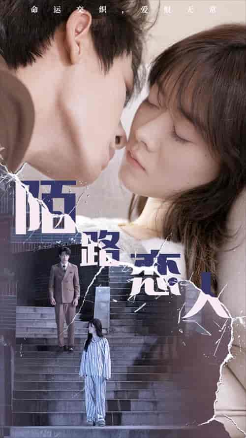 02-陌路恋人（80集） - 海之城短剧