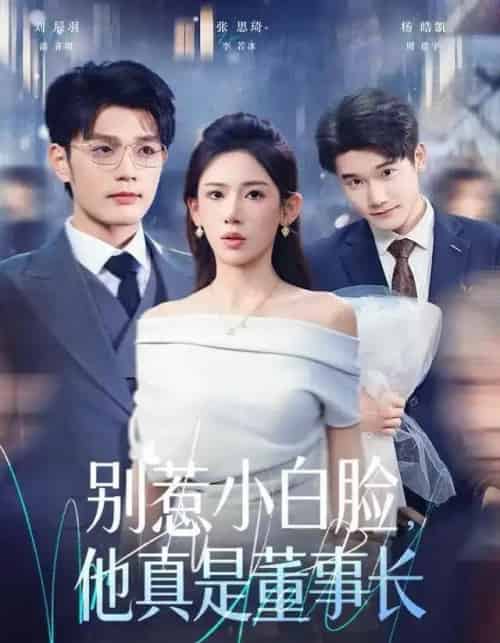 别惹小白脸，他真是董事长（68集全）张思琦＆刘宸羽-海之城短剧项目