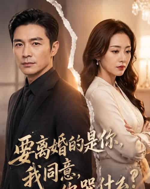 要离婚的是你，我同意，你哭什么？（45集全）AI-海之城短剧项目