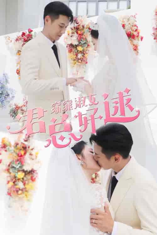 窈窕淑女君总好逑 窈窕淑女君总好逑