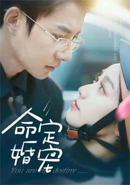 命定婚宠（61集） - 海之城短剧