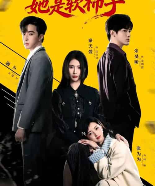 假千金她是软柿子（72集全）朱旻昕＆秦天爱-海之城短剧项目