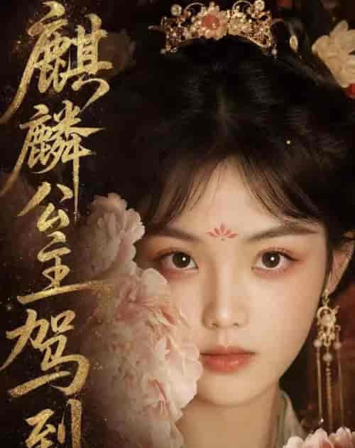 麒麟公主驾到（54集全）AI短剧-海之城短剧项目
