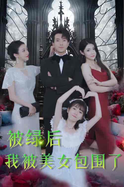 被绿后我被美女包围了（97集） - 海之城短剧