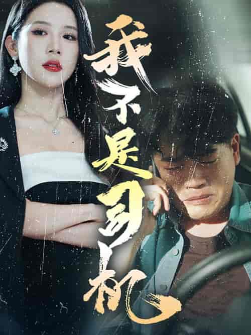 我不是司机 我不是司机