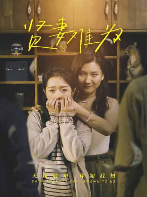 贤妻难为（30集全）张文静＆罗央央-海之城短剧项目