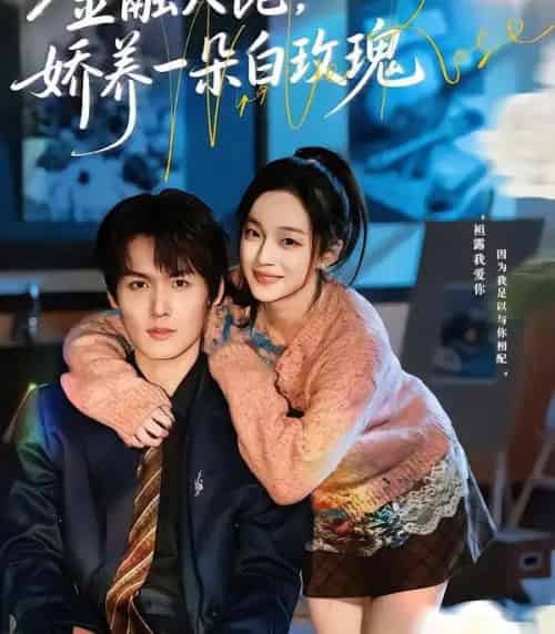 金融大佬，娇养一朵白玫瑰（70集全）董玥妤＆周昊杉-海之城短剧项目