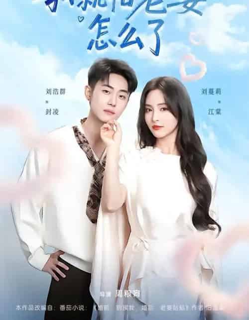 我就怕老婆怎么了（88集全）刘浩群＆刘蔓莉-海之城短剧项目