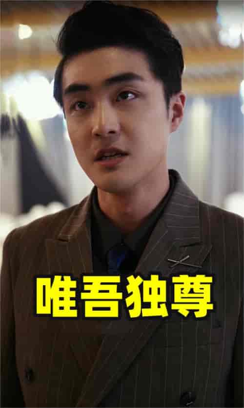 唯吾独尊（96集） - 海之城短剧