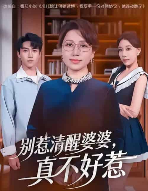 别惹清醒婆婆，真不好惹（80集全）金金＆天天-海之城短剧项目