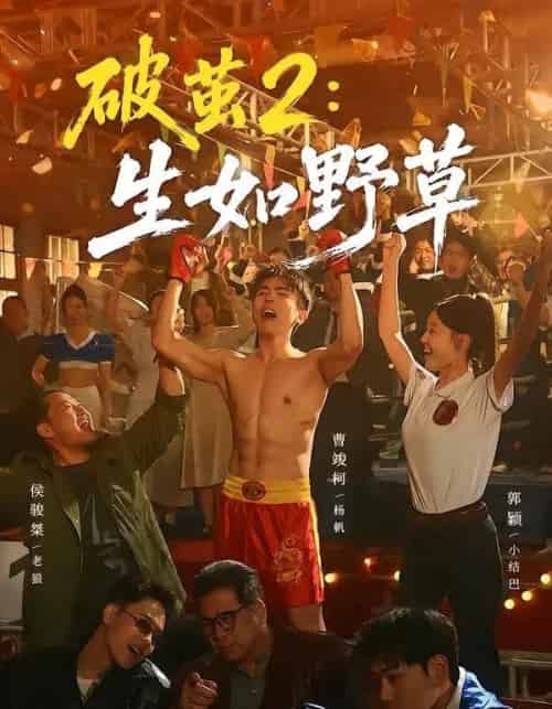 破茧2：生如野草（55集全）曹竣柯＆郭颖-海之城短剧项目